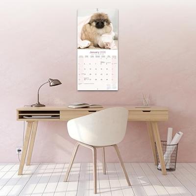 Pekingees Kalender 2026
