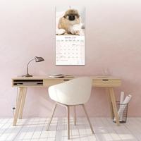 Pekingees Kalender 2026 - thumbnail