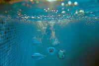 BS Toys duik memospel - duikspeelgoed - thumbnail