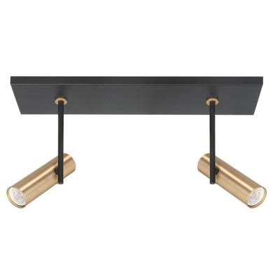 Highlight Zwarte spotTrend met messing 2-lichts recht - S7534.38