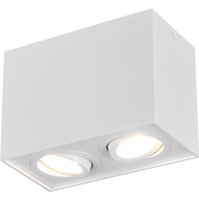 LED Plafondspot 2-Lichts - GU10 Fitting - Rechthoekig Mat Wit Aluminium