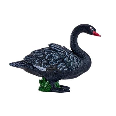 Mojo farmland zwarte zwaan - 381067