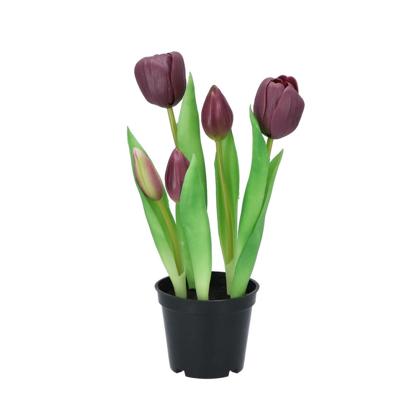 Daan Kromhout Kunstplant in pot tulp 26 cm | 6 stuks