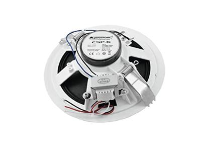 Omnitronic CSP-6 Inbouwluidspreker