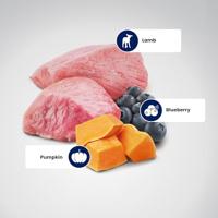 FARMINA N&D Pumpkin Mini Puppy - droog hondenvoer - 2,5 kg - thumbnail