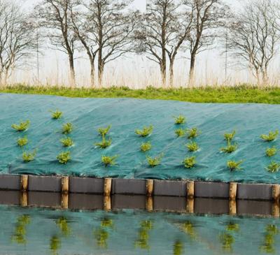 Nature Anti-worteldoek 5,2x5 m groen Nature Anti-worteldoek 5,2x5 m groen