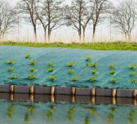 Nature Anti-worteldoek 5,2x5 m groen - thumbnail