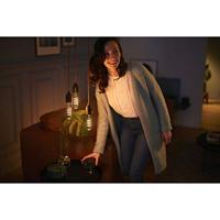 Philips Led Cl T32 Gld D 25w E27 - thumbnail