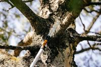 Fiskars QuikFit 1000692 Snoeizaag - thumbnail