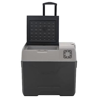 VidaXL Koelbox met wielen en handvat 30 l polypropeen zwart en grijs