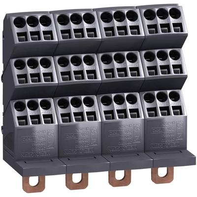 Schneider Electric Verdeelblok 1 stuk(s)