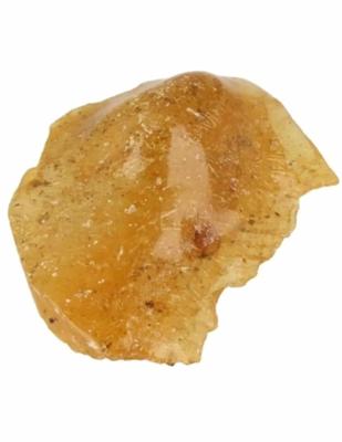 Barnsteen Lichtgewicht Fossiele Hars Zonnetje in Huis Barnsteen Lichtgewicht Fossiele Hars Zonnetje in Huis