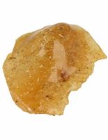 Barnsteen Lichtgewicht Fossiele Hars Zonnetje in Huis - thumbnail