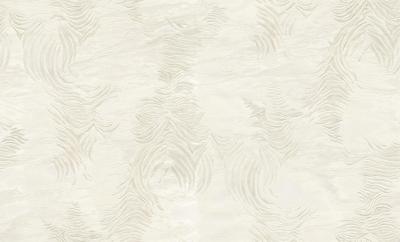Dutch Wallcoverings Roberto Cavalli 9 - Zebra - Wit