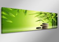 Schilderij - Bamboe en Stenen, Groen, 120X40cm, 1luik - thumbnail