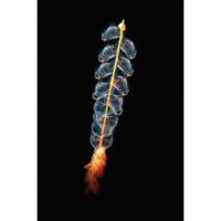 Wanddecoratie Wonderful Life 019 98x148cm - thumbnail