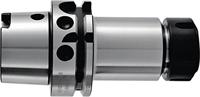 Promat/Tecwerk Spantanghouder | ER DIN 69893A | span-d. 1-10 mm | HSK-A63 | uitkraaglengte 100 mm - 4000833827 - thumbnail