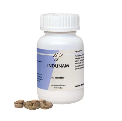 Ayurveda Indunam 100 Tabletten