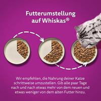Vis Selectie in gelei maaltijdzakjes multipack 40x85g dierensnack Whiskas - Whiskas - thumbnail