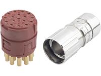 Epic® stekkerverbinder M23 17-polig in set EPIC® KIT M23 D6 17-POL FEMALE LAPP Inhoud: 1 set(s) - thumbnail