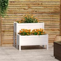 Plantenbak 84,5x84x75 cm massief grenenhout wit - thumbnail