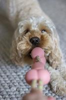 Rosewood tough twist rubber met touw bbq smaak - thumbnail