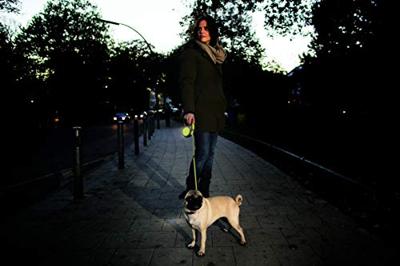 Flexi New Neon S M L Tape rollijn 5 meter M