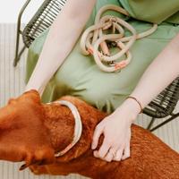 Hondenriem Hunter MALIA Beige 1 x 200 cm - thumbnail