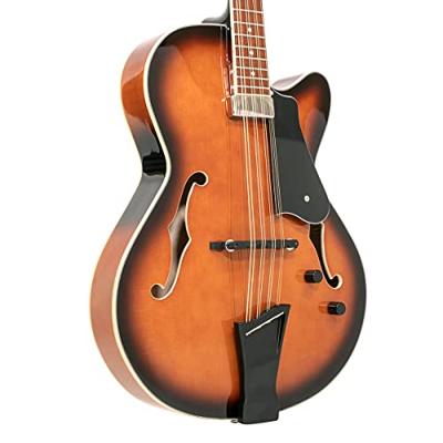 Gold Tone Mandocello inclusief hardcase