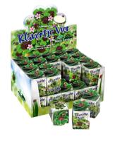 Greengift Klavertje-vier in showdoos - thumbnail