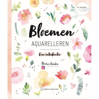 Bloemen aquarelleren - Marie Boudon - Paperback (9789462502345)