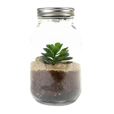 Lichtgevend terrarium