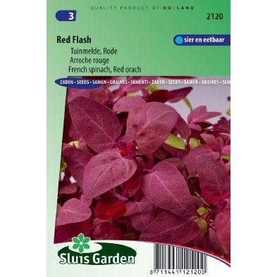 Melde zaden Red Flash Melde zaden Red Flash
