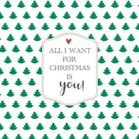 Duni 3-laags tissue servet all i want 33x33cm wit, groen 20 stuks - thumbnail