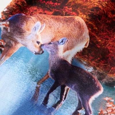 Kinderjurk met lange mouwen hertenprint 92 oudroze - thumbnail