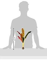 BiOrb zijden aquarium planten groot groen & rood aquarium decoratie - thumbnail