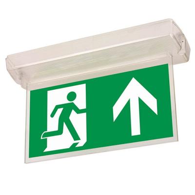 Noodverlichting armatuur opbouw plafond of wand 150 Lumen LED 1.1W 3uur