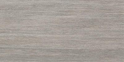 Vloer-/wandtegel travertin Casalgrande Padana Metalwood 30x60cm argento