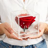 Preserved rose in glas (plexi) - thumbnail