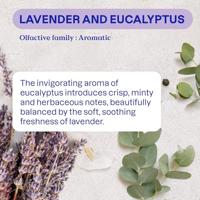 Attitude Natural Air Purifier Eucalyptus & Lavender - thumbnail