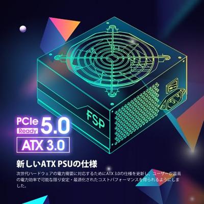 FSP PPA8503900 PC-netvoeding 1000 W ATX 80 Plus