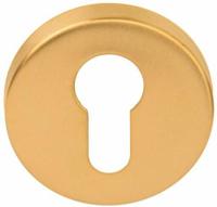 Formani LBY50D BASICS cilinderplaatje pvd mat goud - thumbnail