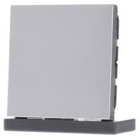 Jung aluminium blindplaat met inzetplaat AL2994B - thumbnail