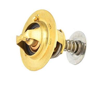 Thermostaat, koelvloeistof BSG30125019