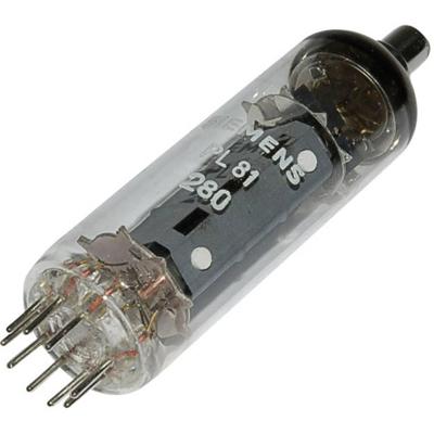Siemens PL 81 = 21 A 6 Elektronenbuis Pentode 170 V 45 mA Aantal polen: 9 Fitting: Noval 1 stuk(s) Siemens PL 81 = 21 A 6 Elektronenbuis Pentode 170 V 45 mA Aantal polen: 9 Fitting: Noval 1 stuk(s)