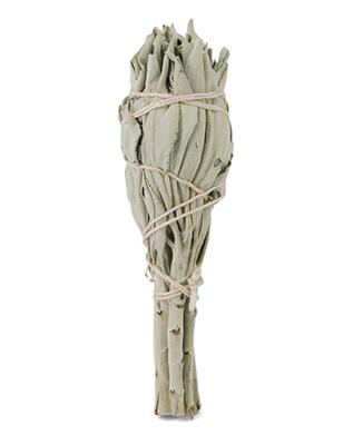 Ruben Robijn Saliebosje 12 cm 1 Stuks