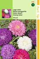 Zaden Callistephus Dwerg-Aster gemengd Hortitops - Hortitops - thumbnail