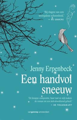 Een handvol sneeuw - Jenny Erpenbeck - ebook