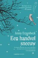 Een handvol sneeuw - Jenny Erpenbeck - ebook - thumbnail