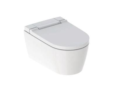 DoucheWC Geberit AquaClean Sela | Ladydouche | Softclose | Chroom